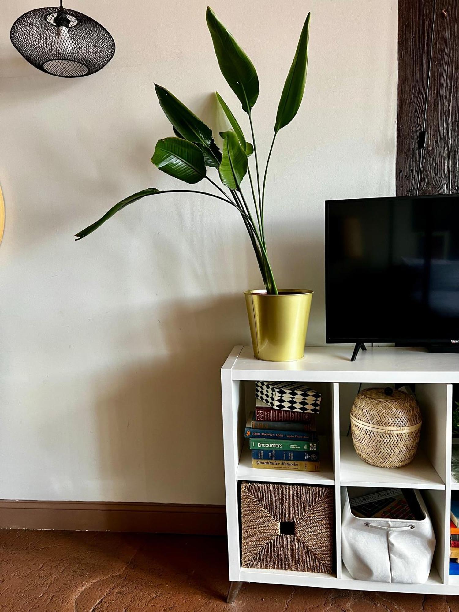420 Friendly Boho Loft Downtown King Suite Free Parking Detroit Bagian luar foto